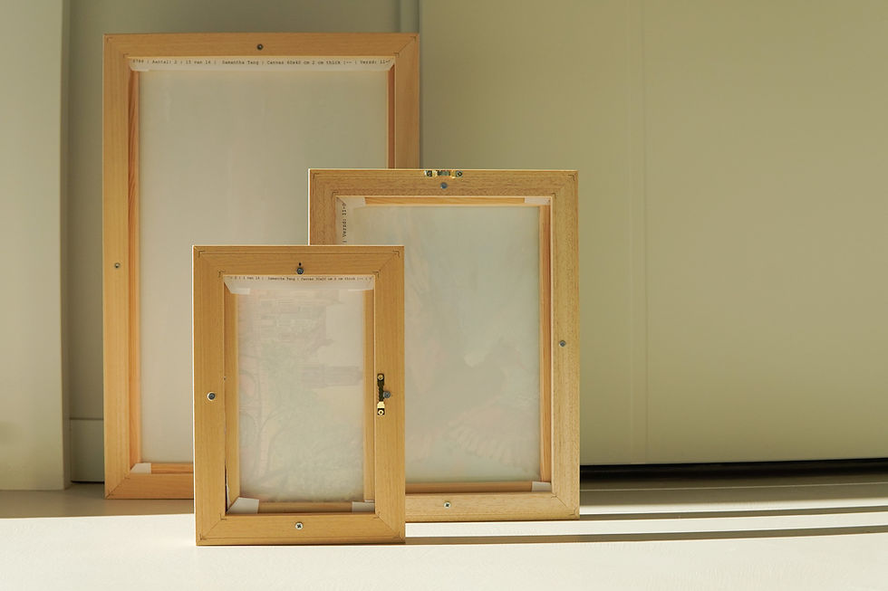 Thumbnail: Frames in different size back view