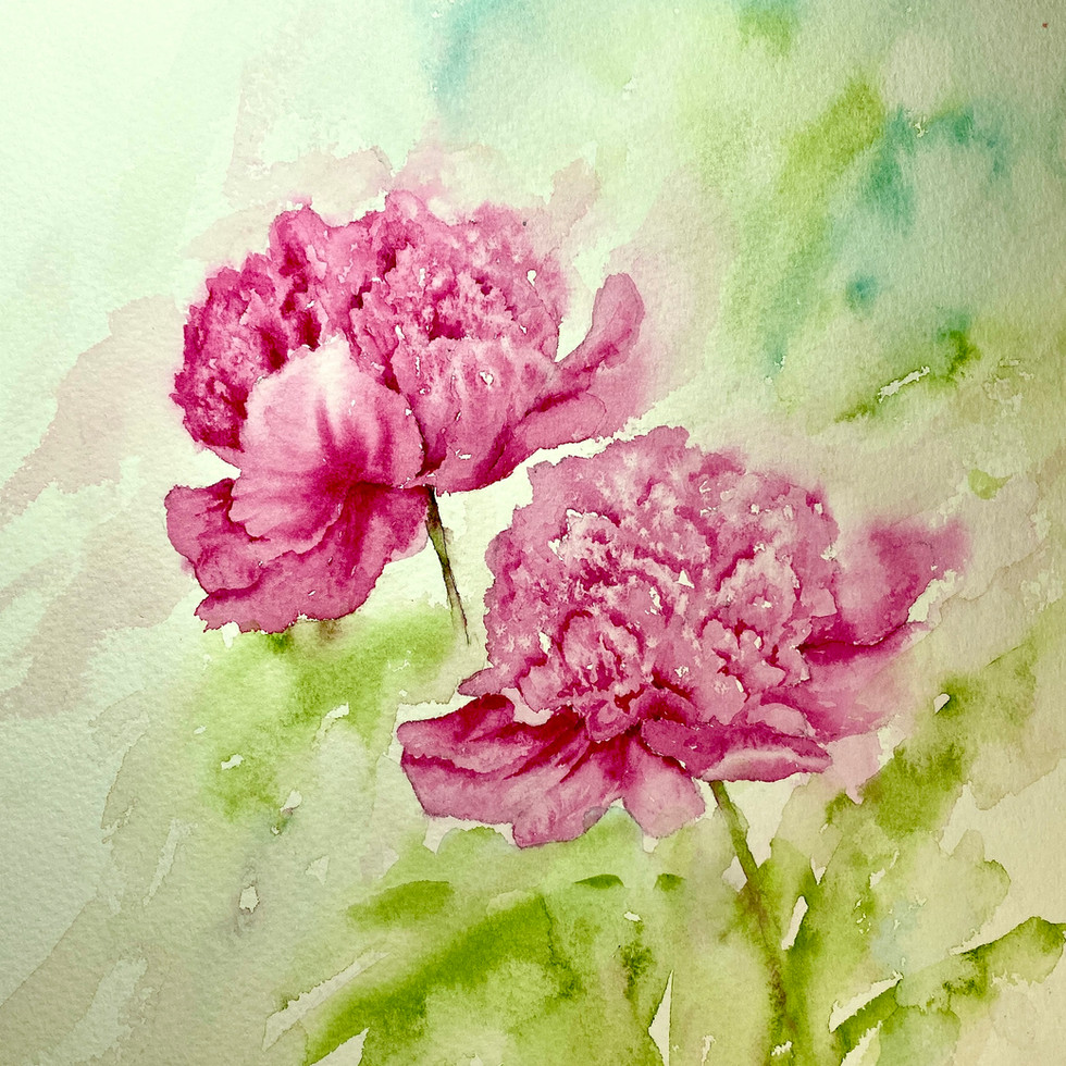 Original painting, loose watercolor painting of two pink peonies