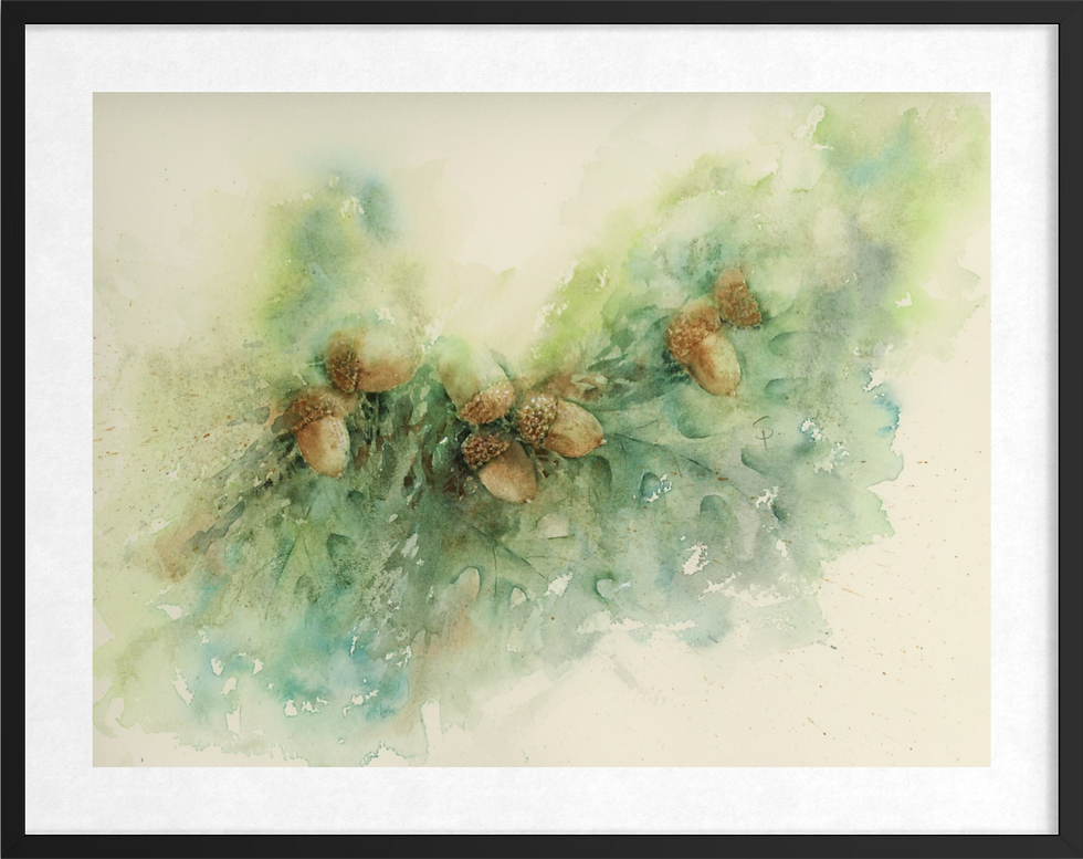 Thumbnail: Acorns on a Branch — Fine Art Print