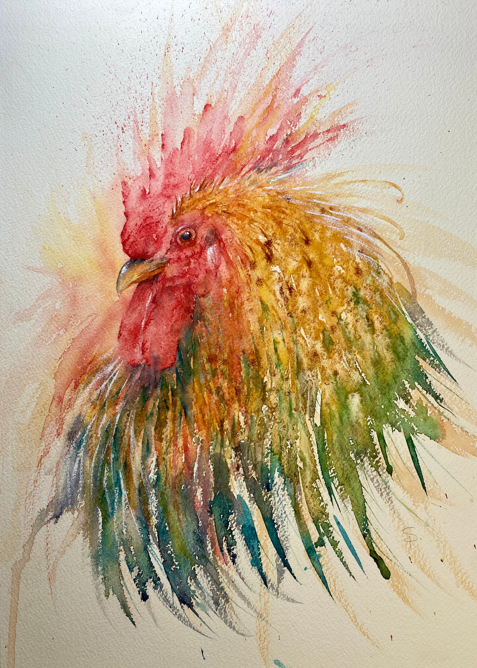 Original painting, loose watercolor painting of a rooster for sale