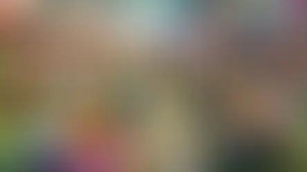 Evento Taurus Festival Amparo