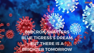 Omicron shatters blue tigresses’ dream but there is a brighter tomorrow