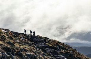 Liderlik Atölyeleri Yaz Okulu Başlıyor!
