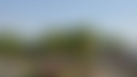 Bursa Üye ve Gönüllülerimiz 'Yaza Merhaba' Buluşmasında