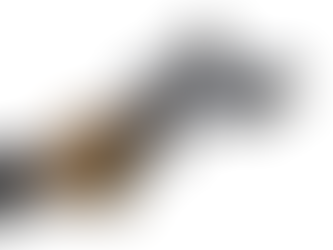 Smith Wesson Tarihi ve MP R8