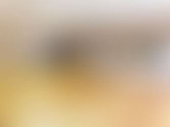 OSENSEI'NİN DOJO KURALLARI