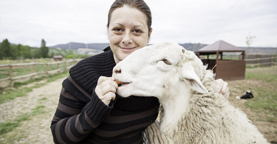 Küçük resim: COLLEGE OF NATURAL HEALTH & HOMEOPATHY