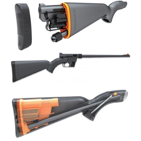 Ruger 10/22 Takedown