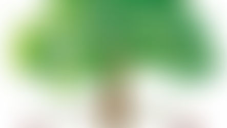 5S