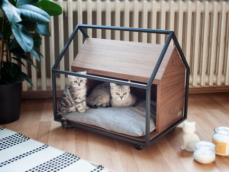 How Can You Create Enjoyable And Interesting Areas In Your Home For Your Cat?