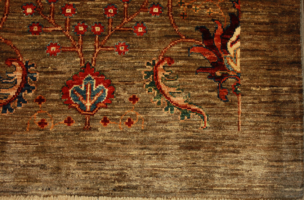 Miniatyrbilde: Ariana 200x148