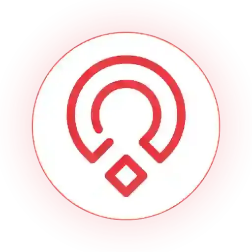 17 (1).webp