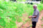 10216_23_5_2025_18_35_47_1_23_05_2025_MORINGA.jpg