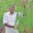 vikatan_2019-05_8722d00e-a350-4d70-990f-fa4de48c9c0f_100683_thumb (1).webp