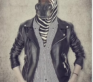 What Guests Notice First When They Visit a HomeWhat Guests Notice First When They Visit a Home