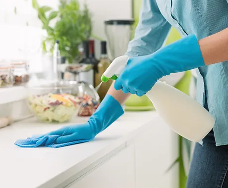 Cleaning the Counter.webp
