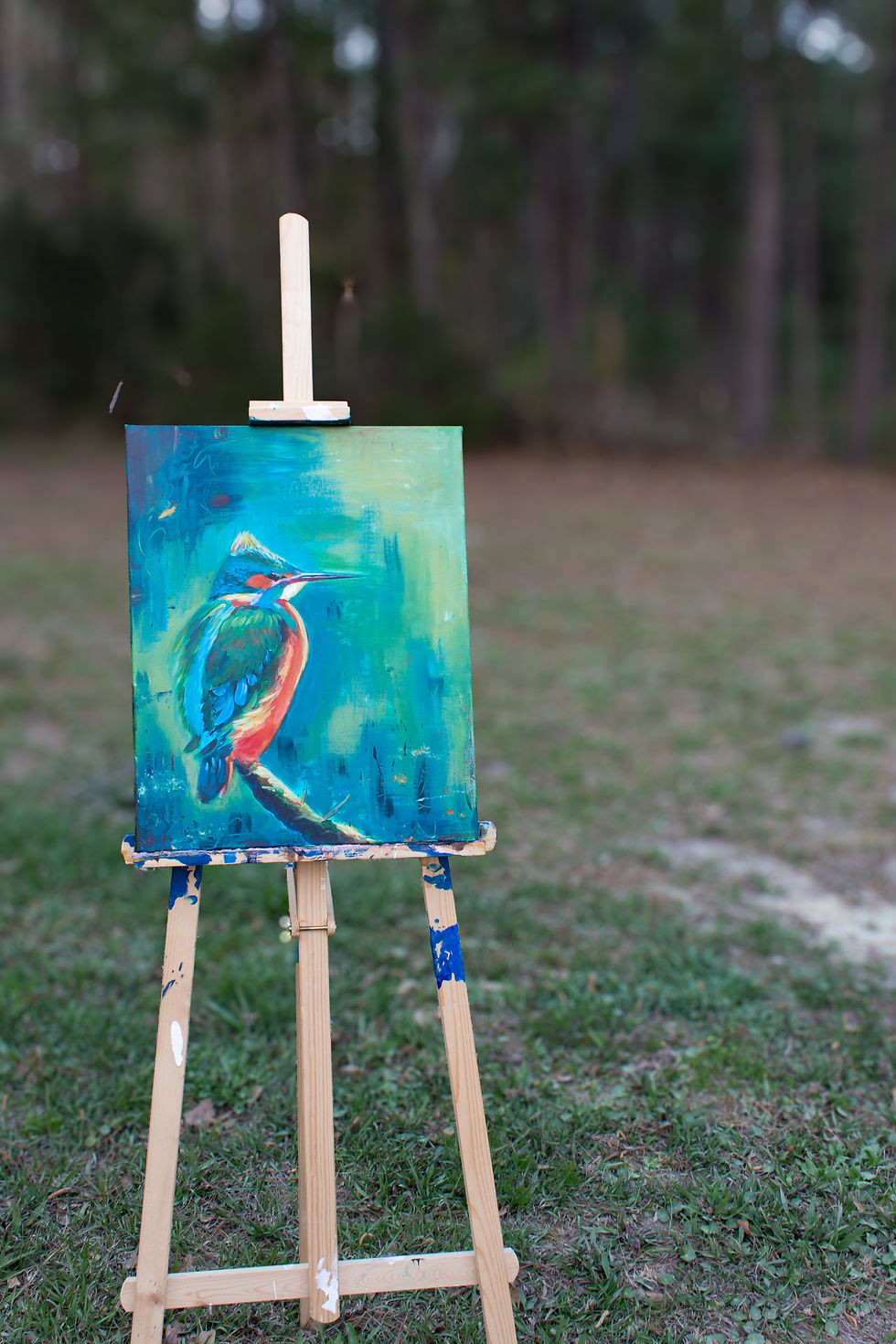 Thumbnail: Belted Kingfisher