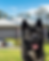 S&D Settlements Dog - Molly - Perth Settlement Agent