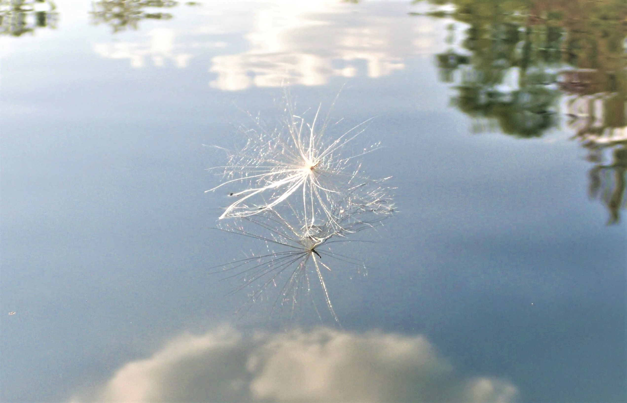 A Brief, Delicate, Suspension