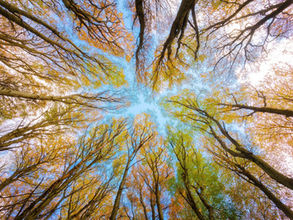Efficient Philanthropic Giving & Fourth-Quarter Housekeeping (Mid-3Q19 Newsletter)