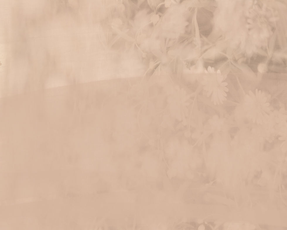 WEB_Texturen-07_BR_Nude.jpg
