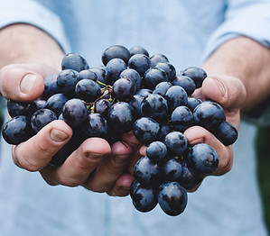 Grapes
