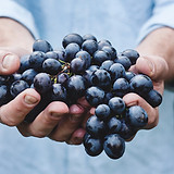 uvas