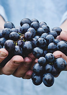Grapes