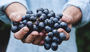 Grapes
