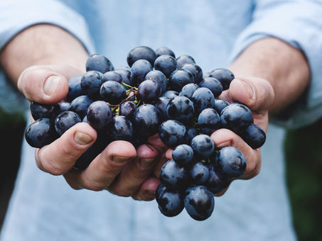 Bioflavonoides en TDAH y Alzheimer