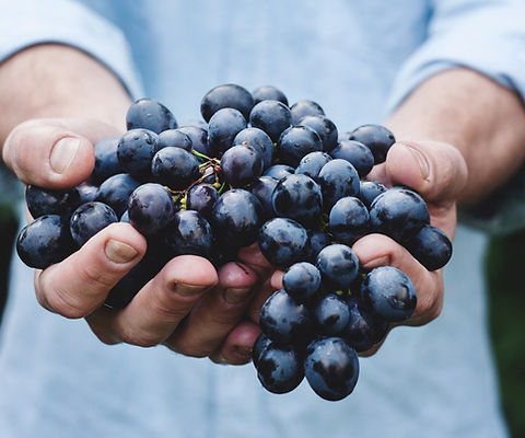 Grapes