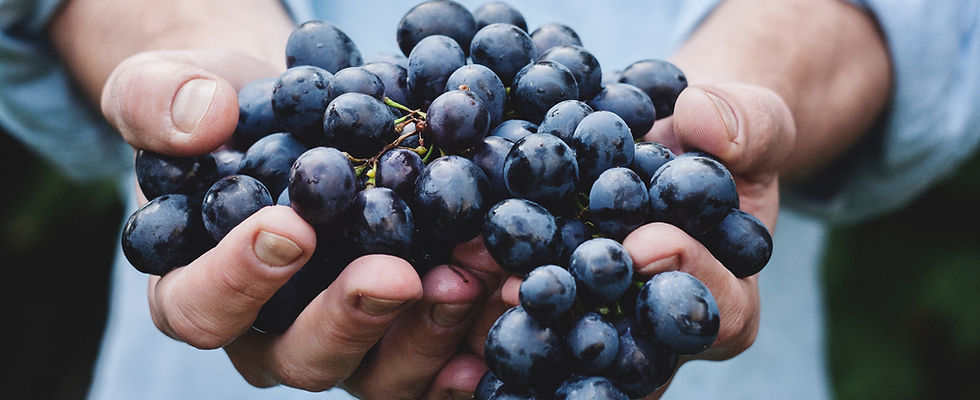 Grapes