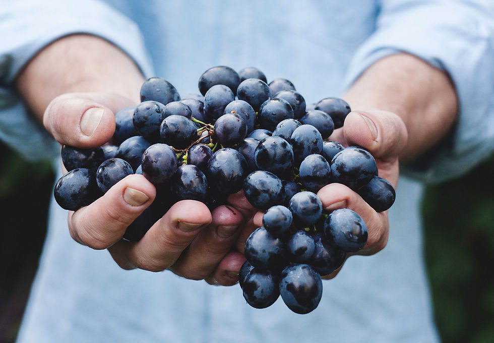 Grapes