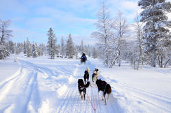 SAARISELKÄ - SODANKYLÄ