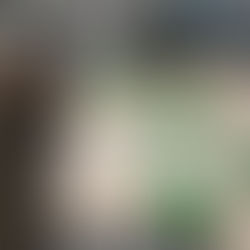 Guarujá arrecada 40 kg de plástico reciclável no ‘Dia Verde’