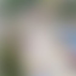 JOVEM MORRE APÓS LEVAR FACADAS NO PEITO E PAULADAS NA CABEÇA