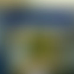 Guarujá promove semana de atividades nos Caecs em alusão ao Dia da Mulher