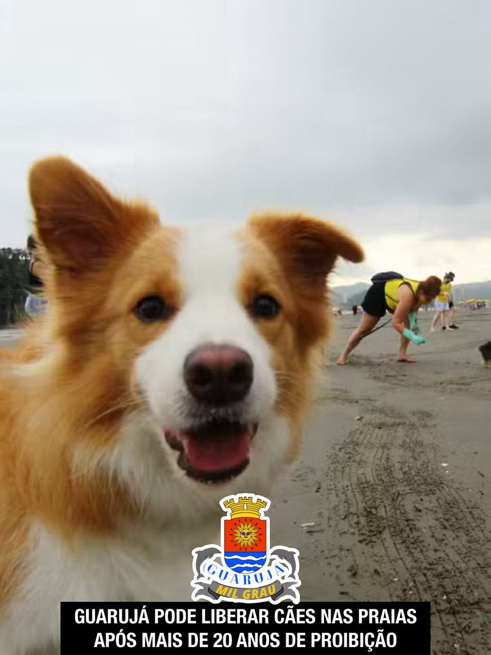 GUARUJÁ PODE LIBERAR CÃES NAS PRAIAS
APÓS MAIS DE 20 ANOS DE PROIBIÇÃO