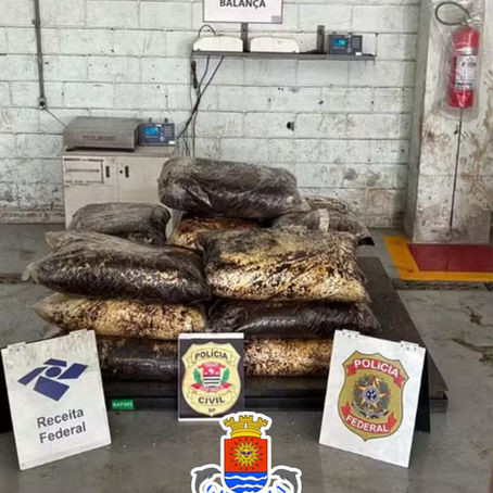 MAIS DE 700 KG DE COCAÍNA SÃO APREENDIDOS EM CARGA DE CAFÉ NO PORTO DE SANTOS