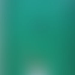 RAIAS-CHITA SURPREENDEM
SURFISTAS NO LITORAL DE SP