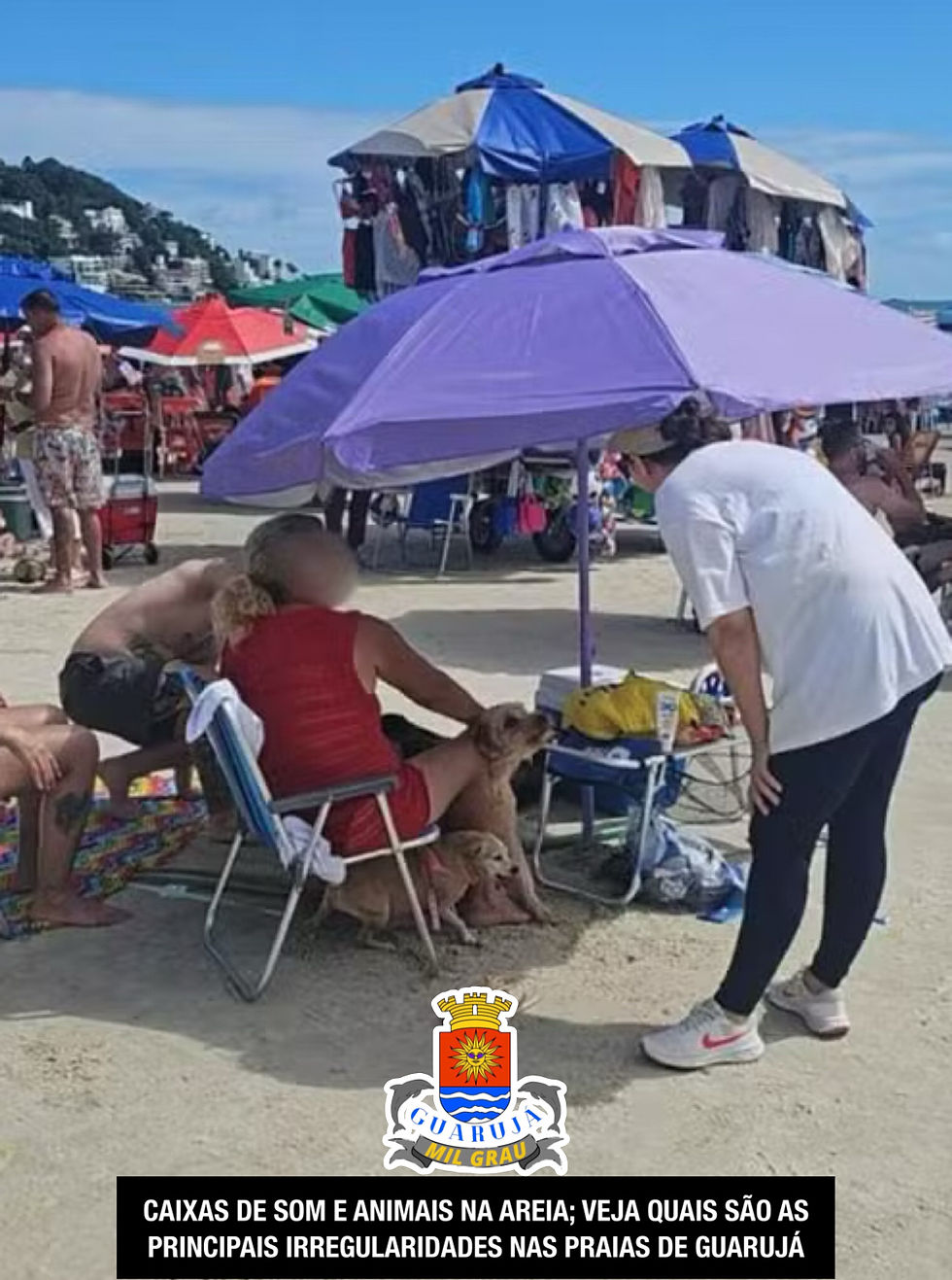 CAIXAS DE SOM E ANIMAIS NA AREIA; VEJA QUAIS SÃO AS PRINCIPAIS IRREGULARIDADES NAS PRAIAS DE GUARUJÁ