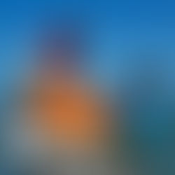 Edição especial do Praia Inclusiva reúne 278 participantes na Praia do Guaiúba