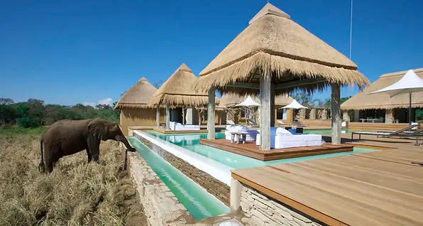 Kapama Karula luxury safari lodge for wellness retreats in Greater Kruger, South Africa