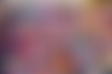 Holi in India: Experiencing the Festival of Colors in Mathura, Vrindavan, and Rajasthan