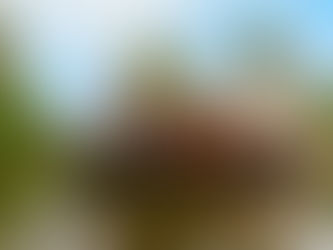 Kerala Tours for US Tourists