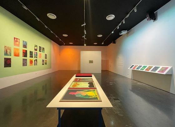 Installation view ‘Ape Trip’ 22.04.23 – 16.07.23, Latrobe Regional Gallery. Photo: Gabriella Duffy