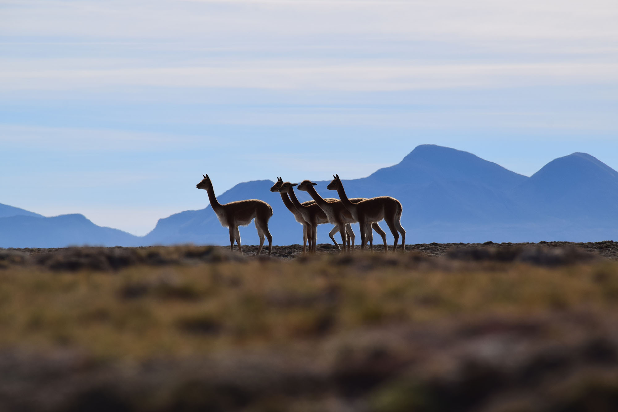 Bolivia