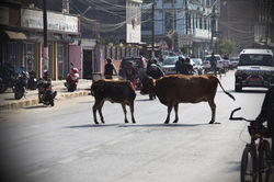 Nepal