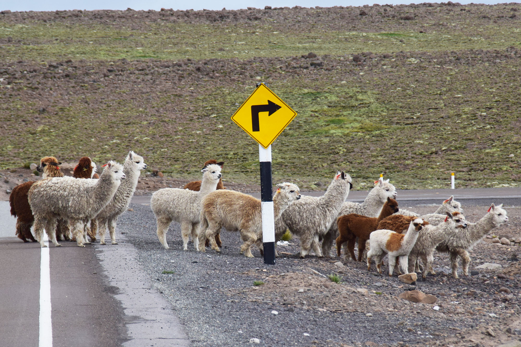 Peru