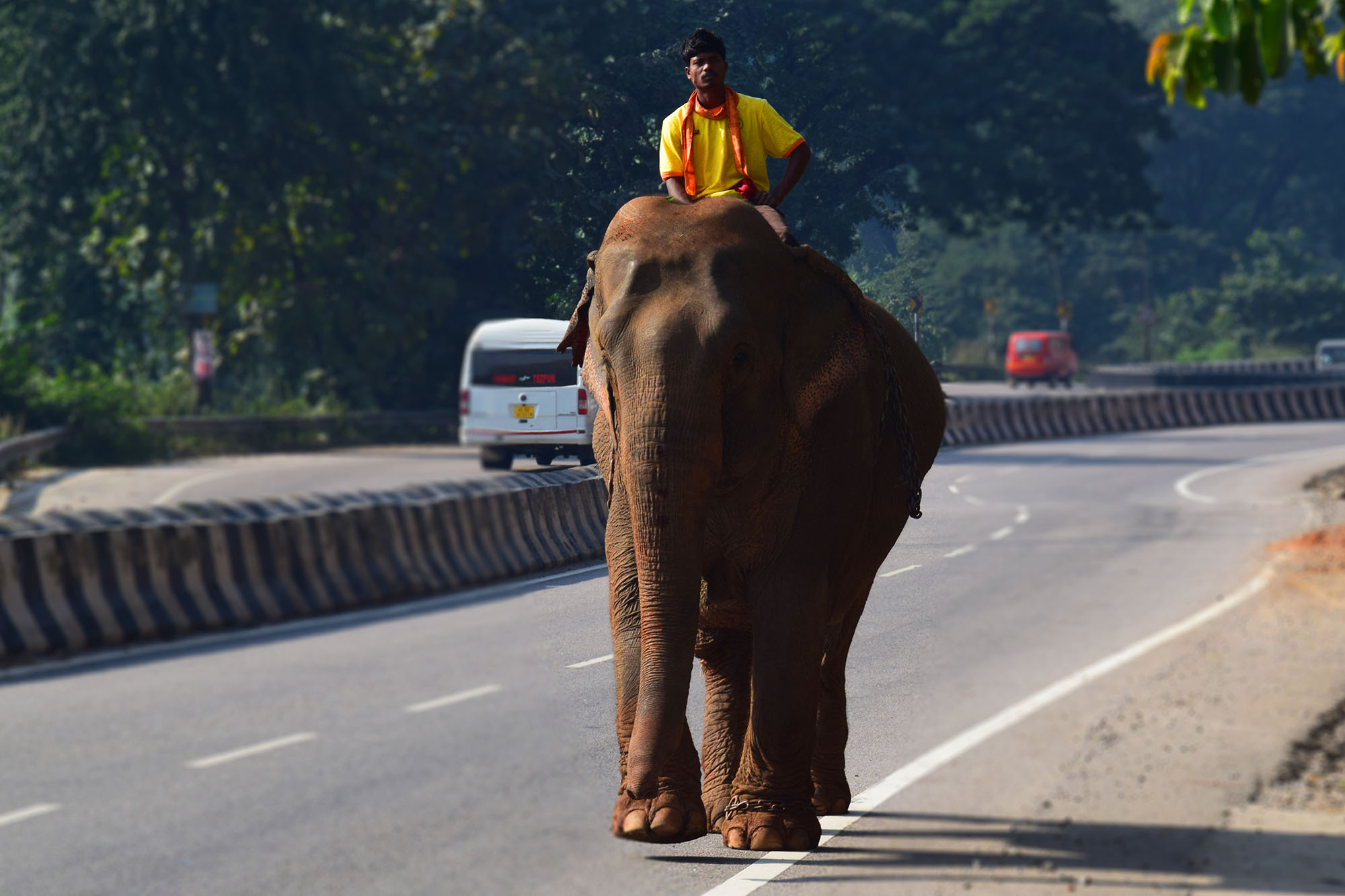 India
